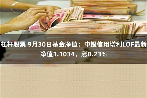 杠杆股票 9月30日基金净值：中银信用增利LOF最新净值1.1034，涨0.23%