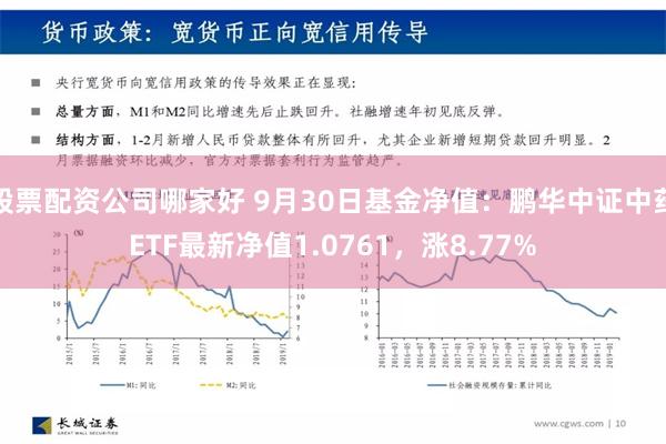 股票配资公司哪家好 9月30日基金净值：鹏华中证中药ETF最新净值1.0761，涨8.77%