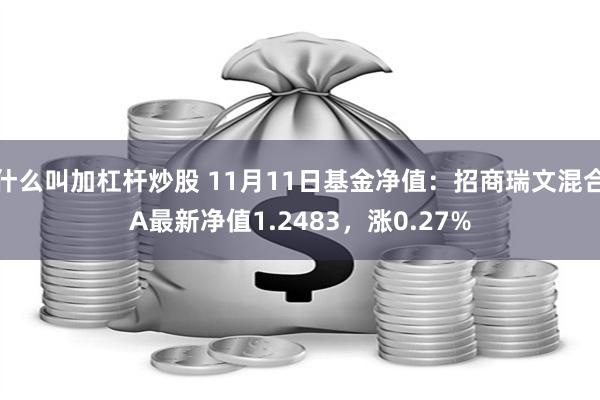 什么叫加杠杆炒股 11月11日基金净值：招商瑞文混合A最新净值1.2483，涨0.27%