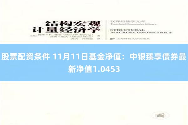 股票配资条件 11月11日基金净值：中银臻享债券最新净值1.0453