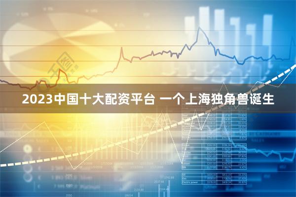 2023中国十大配资平台 一个上海独角兽诞生