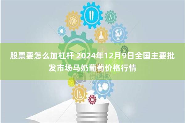 股票要怎么加杠杆 2024年12月9日全国主要批发市场马奶葡萄价格行情