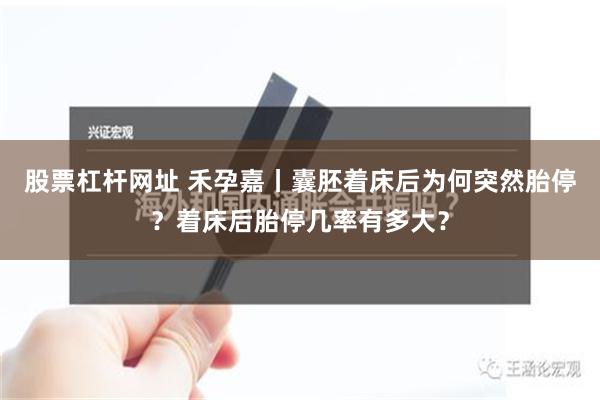 股票杠杆网址 禾孕嘉丨囊胚着床后为何突然胎停？着床后胎停几率有多大？